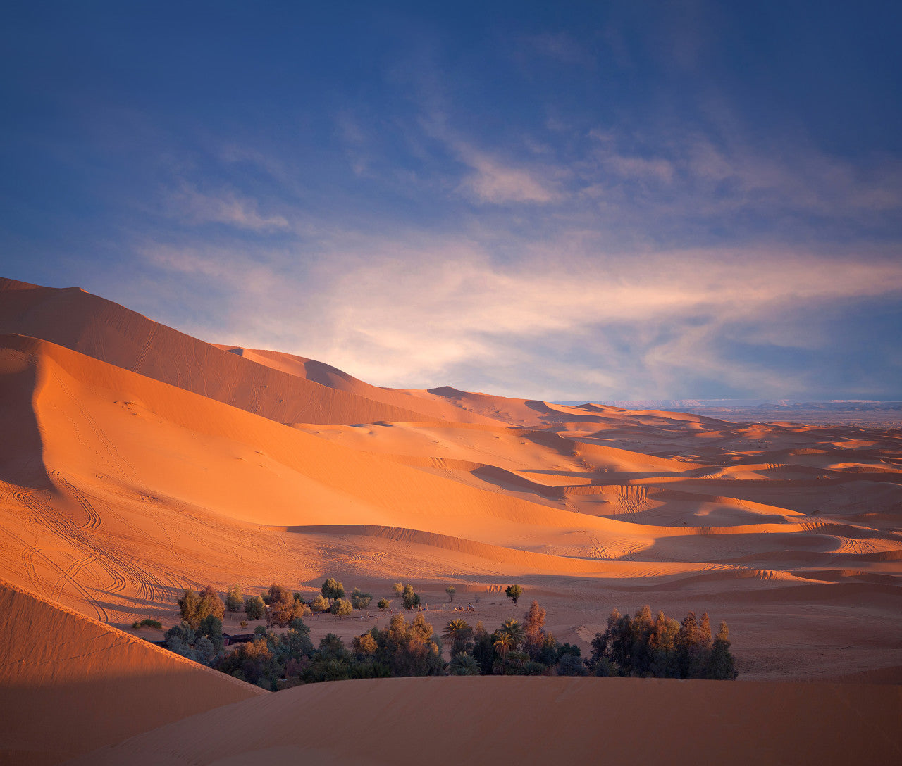 The Sahara Wasn't Born a Desert – Jennov